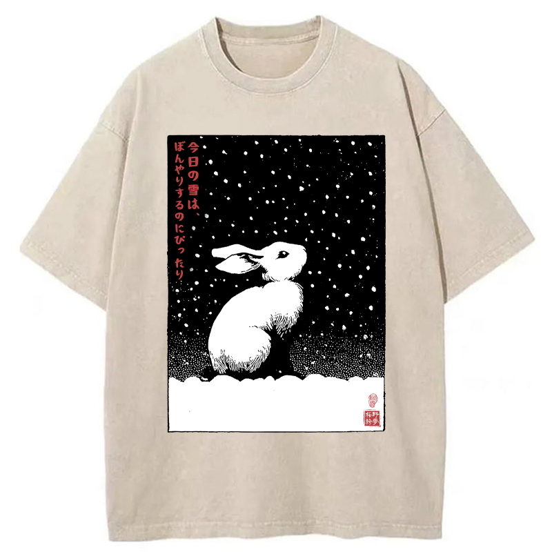Tokyo-Tiger A Snowy Day to Daydream Washed T-Shirt