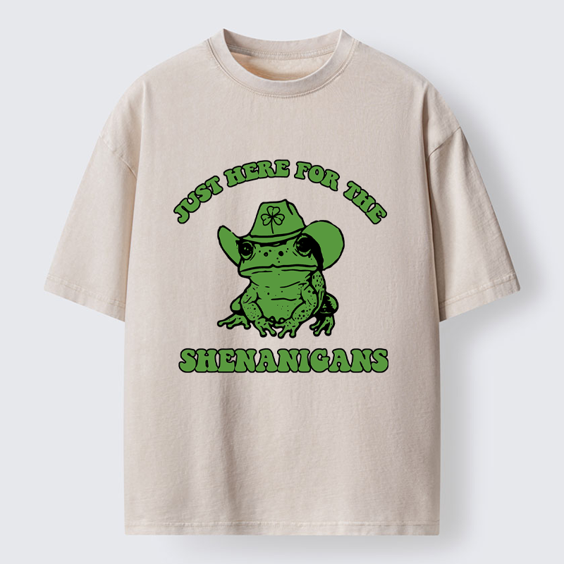 Tokyo-Tiger Here for the Shenanigans Washed T-Shirt