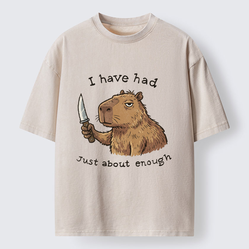 Tokyo-Tiger Mr. Nice Guy Had Enough Washed T-Shirt