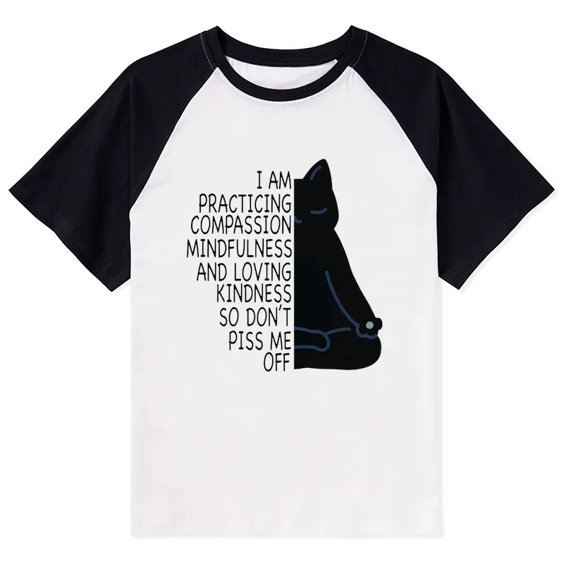 Tokyo-Tiger Calm Black Cat With Anger Issues Raglan T-shirt