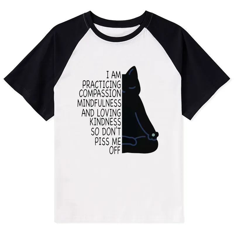 Tokyo-Tiger Calm Black Cat With Anger Issues Raglan T-shirt Sale
