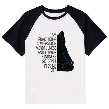 Tokyo-Tiger Calm Black Cat With Anger Issues Raglan T-shirt