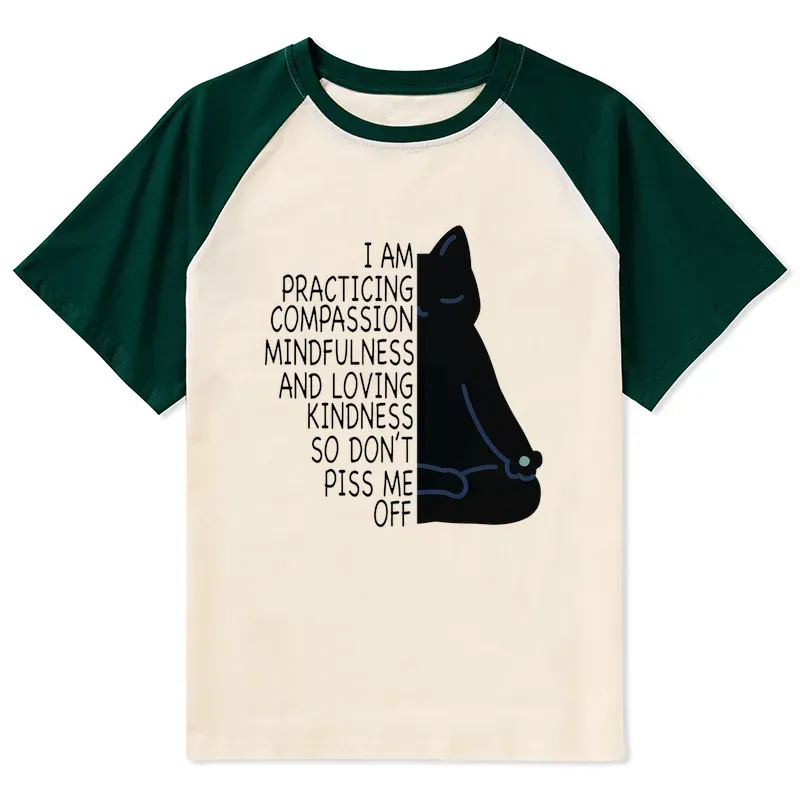 Tokyo-Tiger Calm Black Cat With Anger Issues Raglan T-shirt