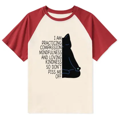 Tokyo-Tiger Calm Black Cat With Anger Issues Raglan T-shirt
