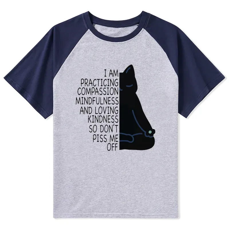 Tokyo-Tiger Calm Black Cat With Anger Issues Raglan T-shirt