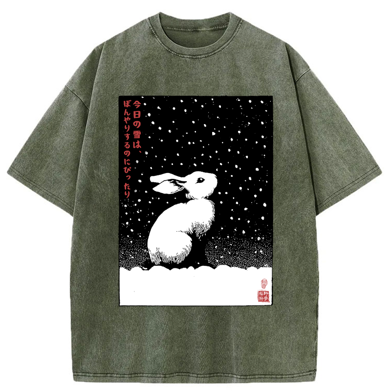 Tokyo-Tiger A Snowy Day to Daydream Washed T-Shirt