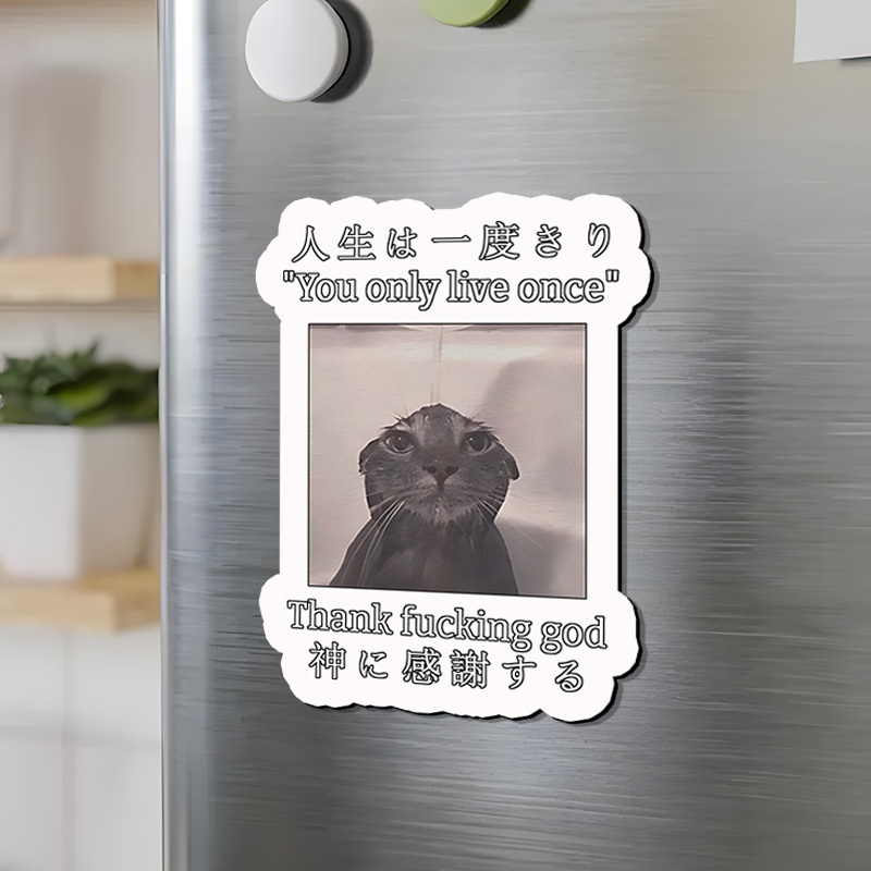 Tokyo-Tiger Funny Melancholy Cat Fridge Magnet Sale