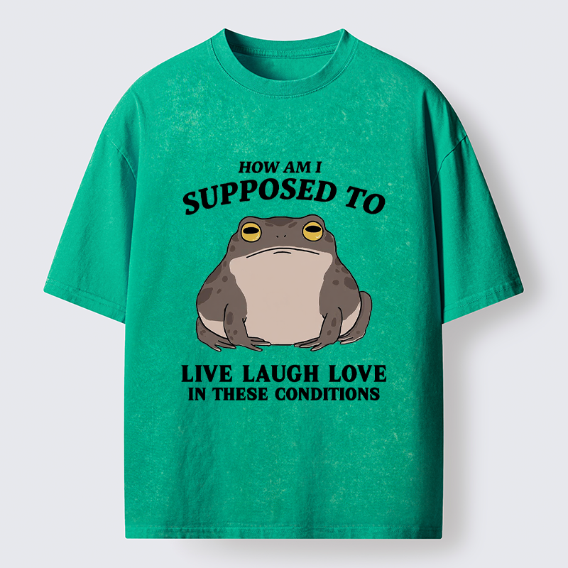 Tokyo-Tiger Frog Life Crisis Washed T-Shirt