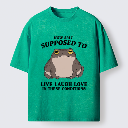 Tokyo-Tiger Frog Life Crisis Washed T-Shirt