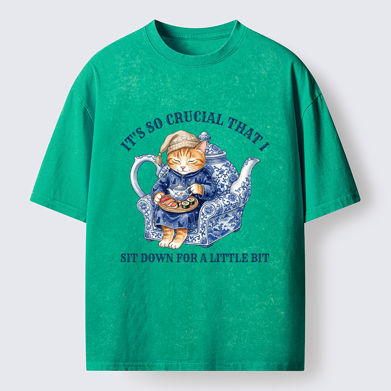 Tokyo-Tiger Teapot Nap Cat Washed T-Shirt