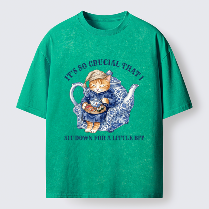 Tokyo-Tiger Teapot Nap Cat Washed T-Shirt