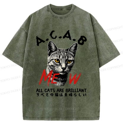 Tokyo-Tiger Funny All Cats Are Brilliant meme Washed T-Shirt