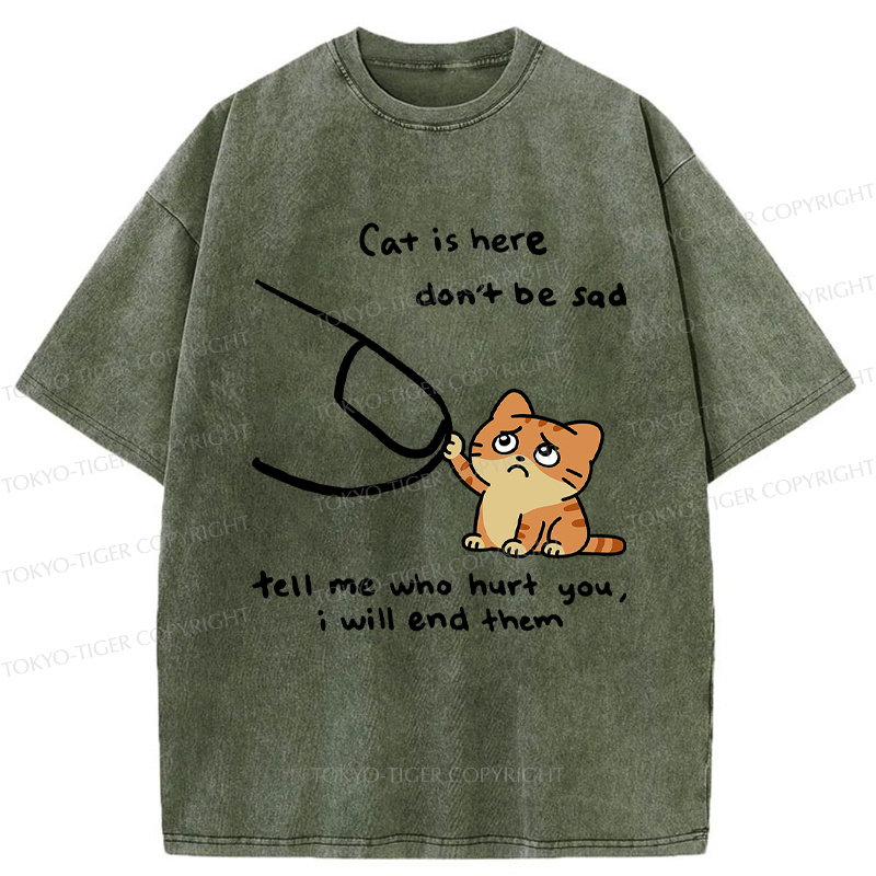 Tokyo-Tiger Tell Me Who Hurt You, The Cat Will End Them Washed T-Shirt