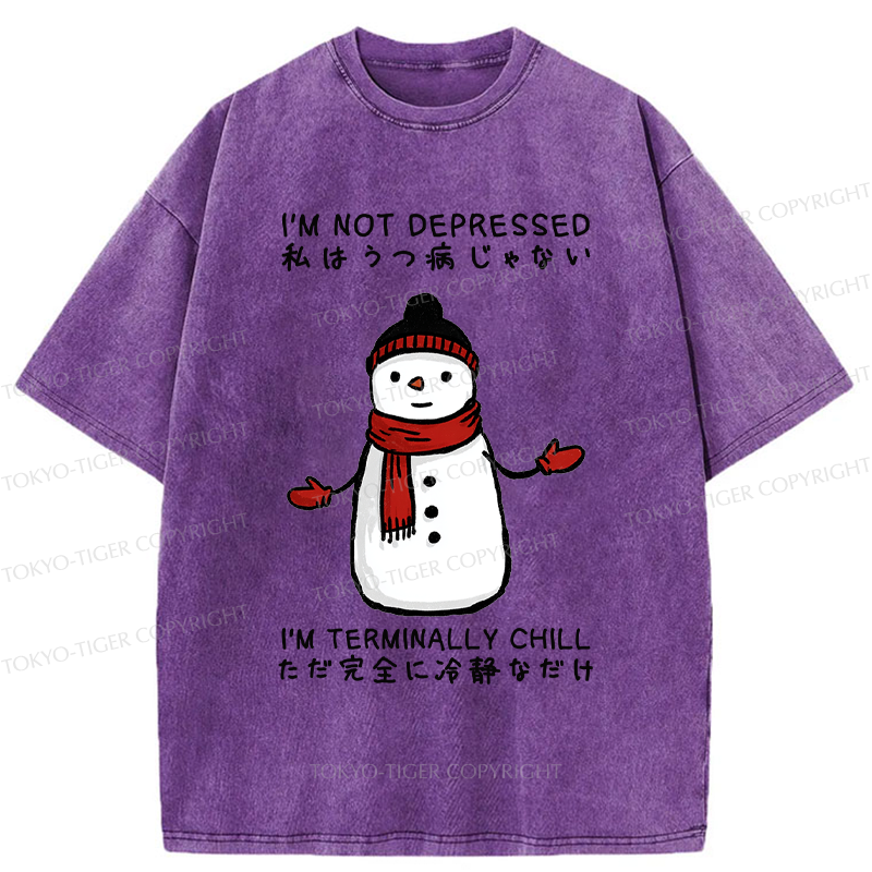 Tokyo-Tiger Ultimate Chill Snowman Zen Washed T-Shirt