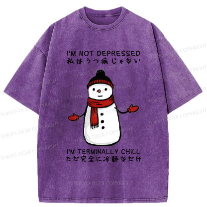 Tokyo-Tiger Ultimate Chill Snowman Zen Washed T-Shirt