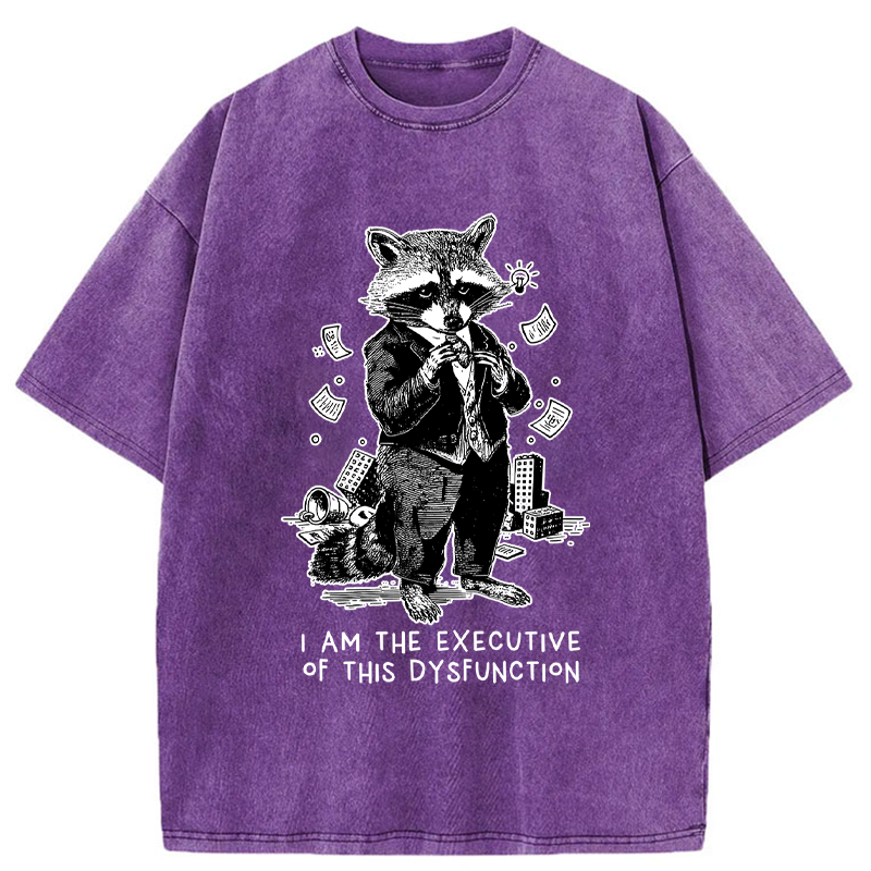 Tokyo-Tiger Funny Raccoon:CEO of Chaos Washed T-Shirt