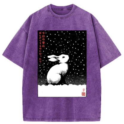 Tokyo-Tiger A Snowy Day to Daydream Washed T-Shirt