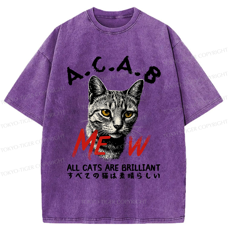 Tokyo-Tiger Funny All Cats Are Brilliant meme Washed T-Shirt