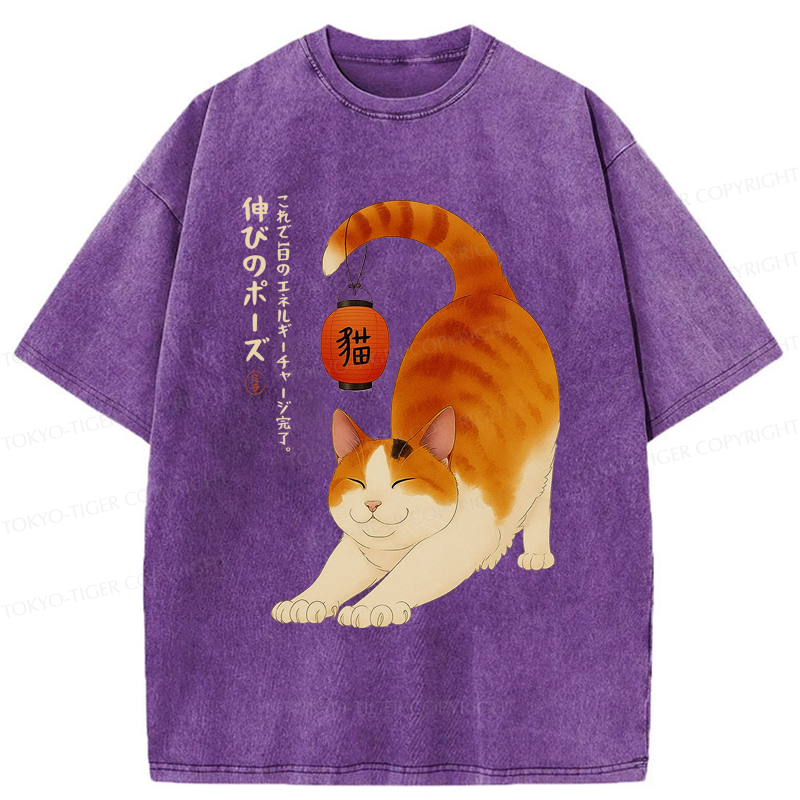 Tokyo-Tiger Funny Cat Yoga Energy Charging Washed T-Shirt
