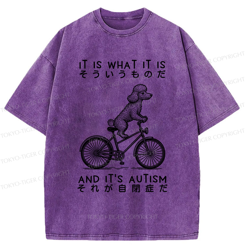Tokyo-Tiger Cycling Dog Autism Awareness Washed T-Shirt