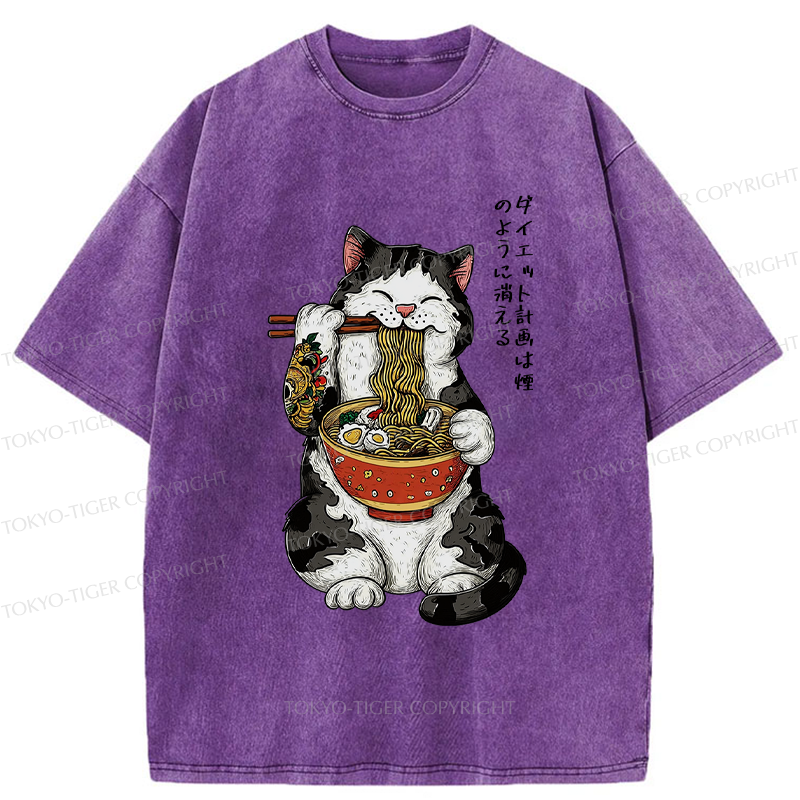 Tokyo-Tiger Diet Plans Shattered Into Nothingness Washed T-Shirt