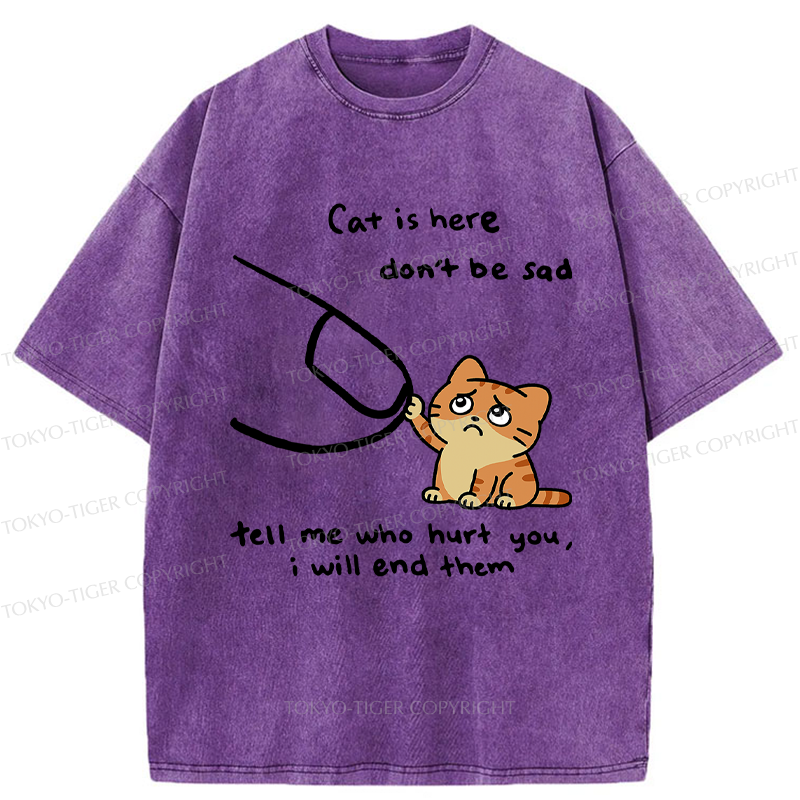 Tokyo-Tiger Tell Me Who Hurt You, The Cat Will End Them Washed T-Shirt