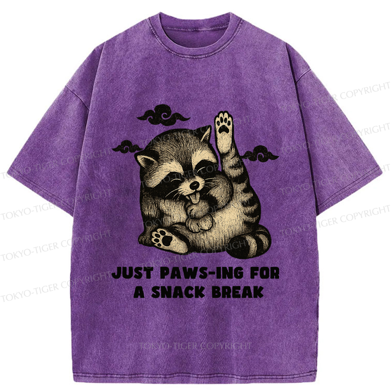Tokyo-Tige An interesting Raccoon Washed T-Shirt