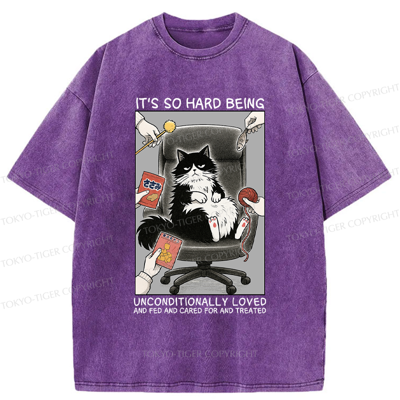 Tokyo-Tiger Funny Spoiled Cat Meme Comic Washed T-Shirt