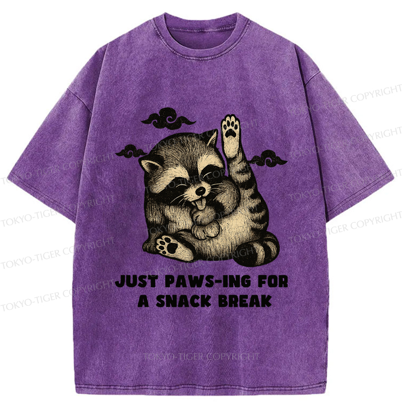 Tokyo-Tige An interesting Raccoon Washed T-Shirt