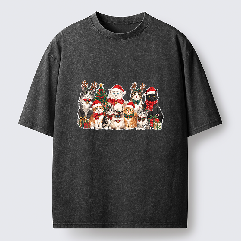 Tokyo-Tiger Christmas Cat Crew Washed T-Shirt