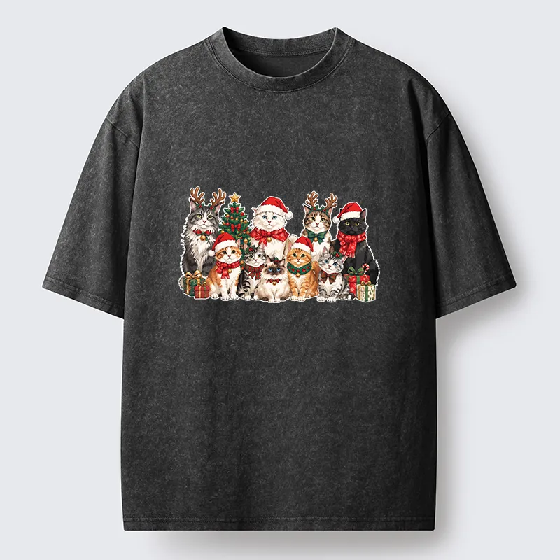 Tokyo-Tiger Christmas Cat Crew Washed T-Shirt