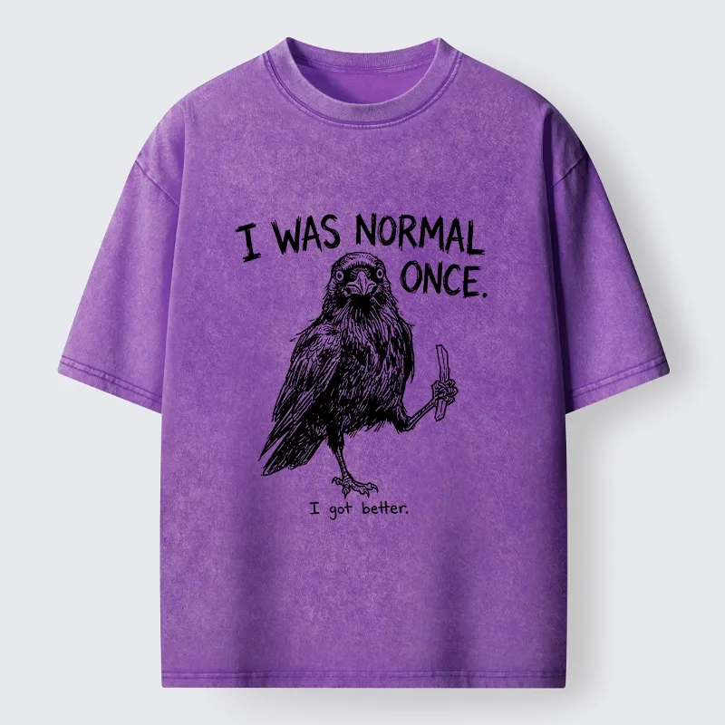 Tokyo‑Tiger Funny Crow Meme Washed T‑Shirt
