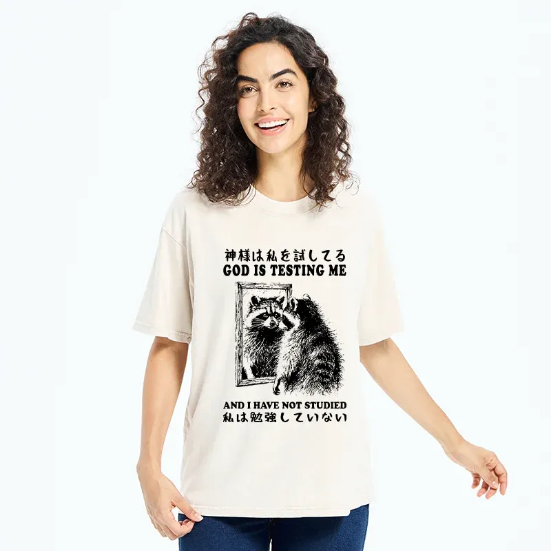 Tokyo-Tiger Raccoon Not Studied Washed T-Shirt