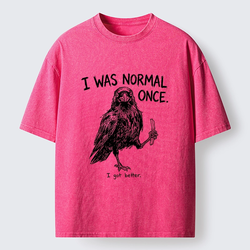 Tokyo‑Tiger Funny Crow Meme Washed T‑Shirt