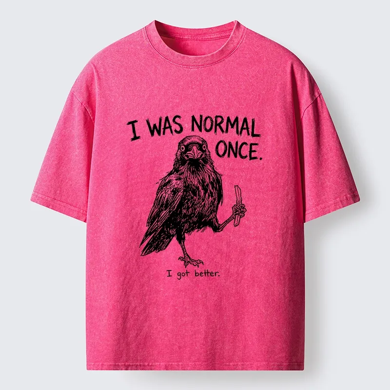 Tokyo‑Tiger Funny Crow Meme Washed T‑Shirt