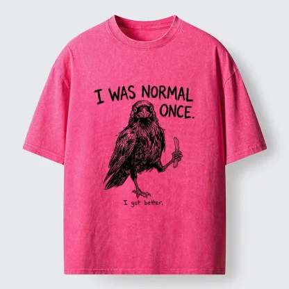 Tokyo‑Tiger Funny Crow Meme Washed T‑Shirt