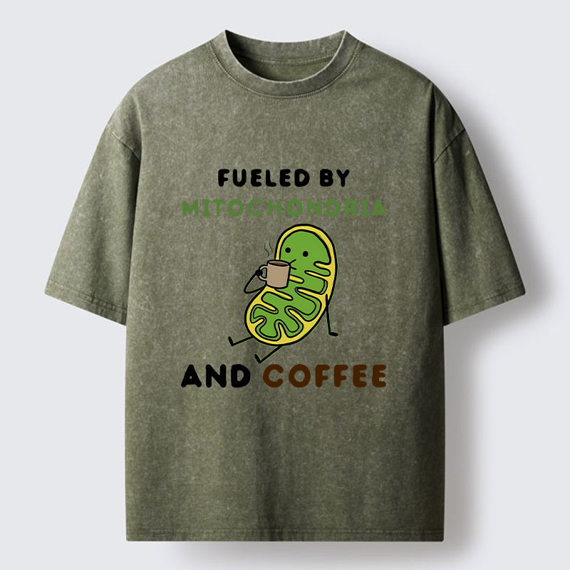 Tokyo-Tiger Two Sources Energy Funny Meme Washed T-Shirt