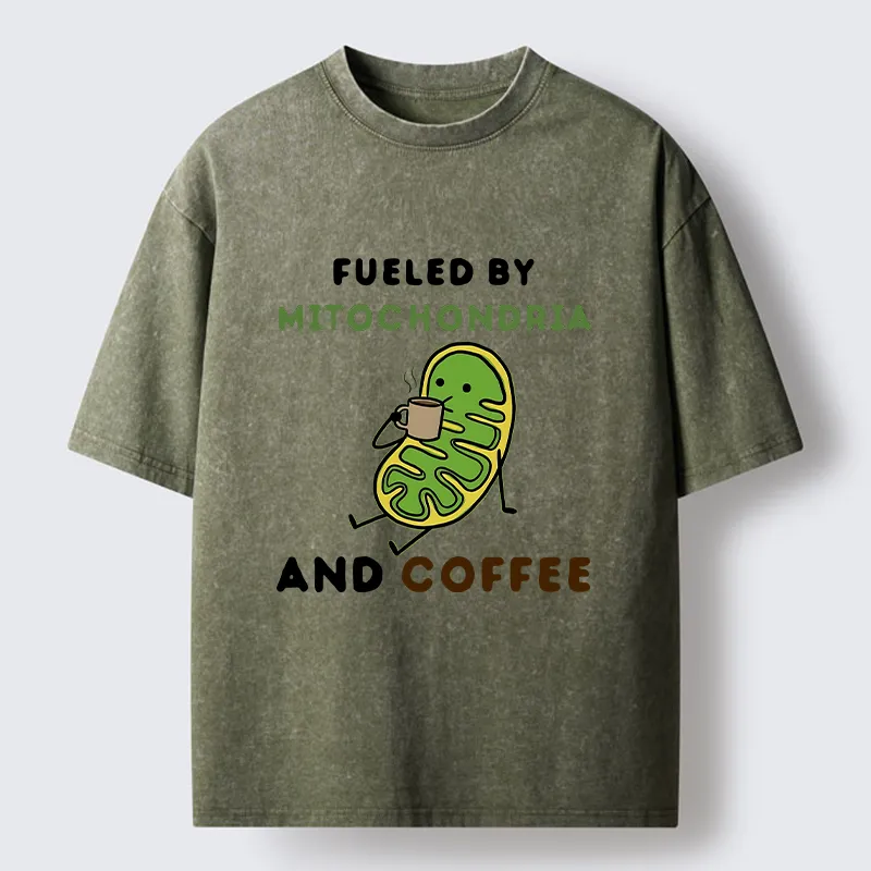 Tokyo-Tiger Two Sources Energy Funny Meme Washed T-Shirt