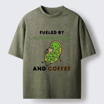 Tokyo-Tiger Two Sources Energy Funny Meme Washed T-Shirt