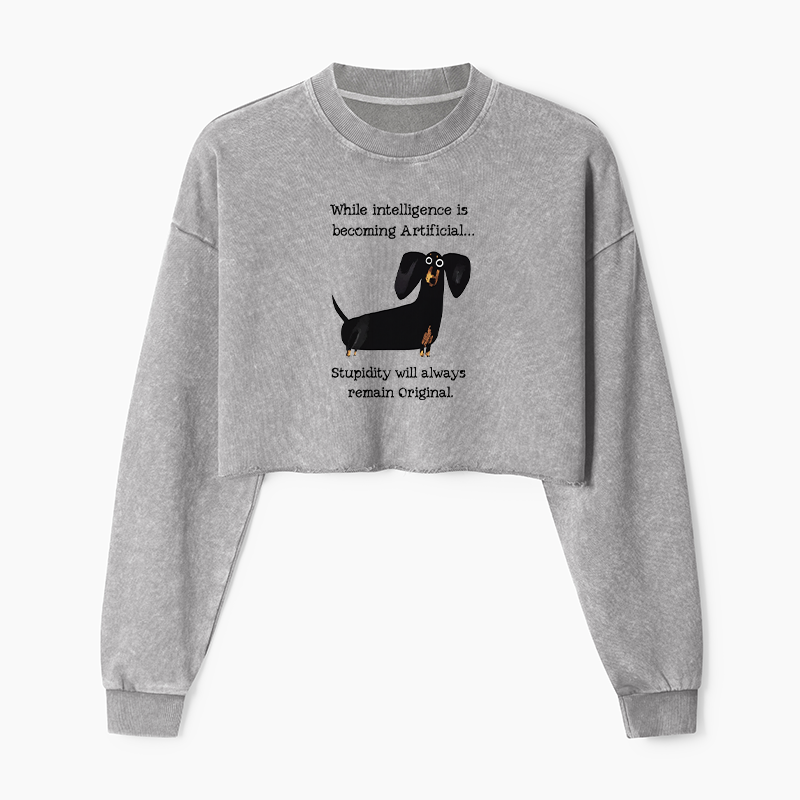 Tokyo-Tiger Dachshund Real Humor Funny Meme Washed Crop Sweatshirt