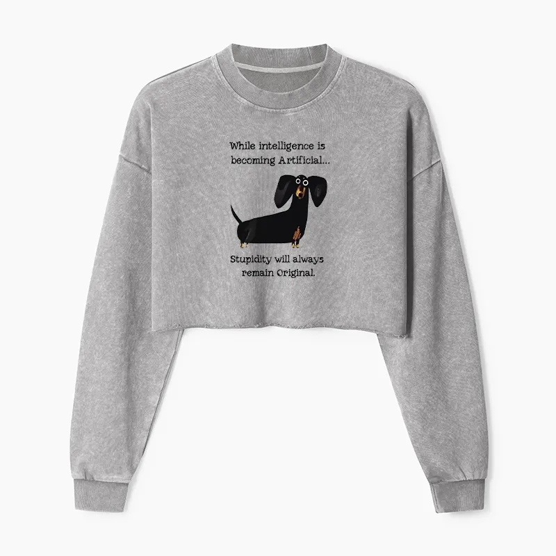Tokyo-Tiger Dachshund Real Humor Funny Meme Washed Crop Sweatshirt