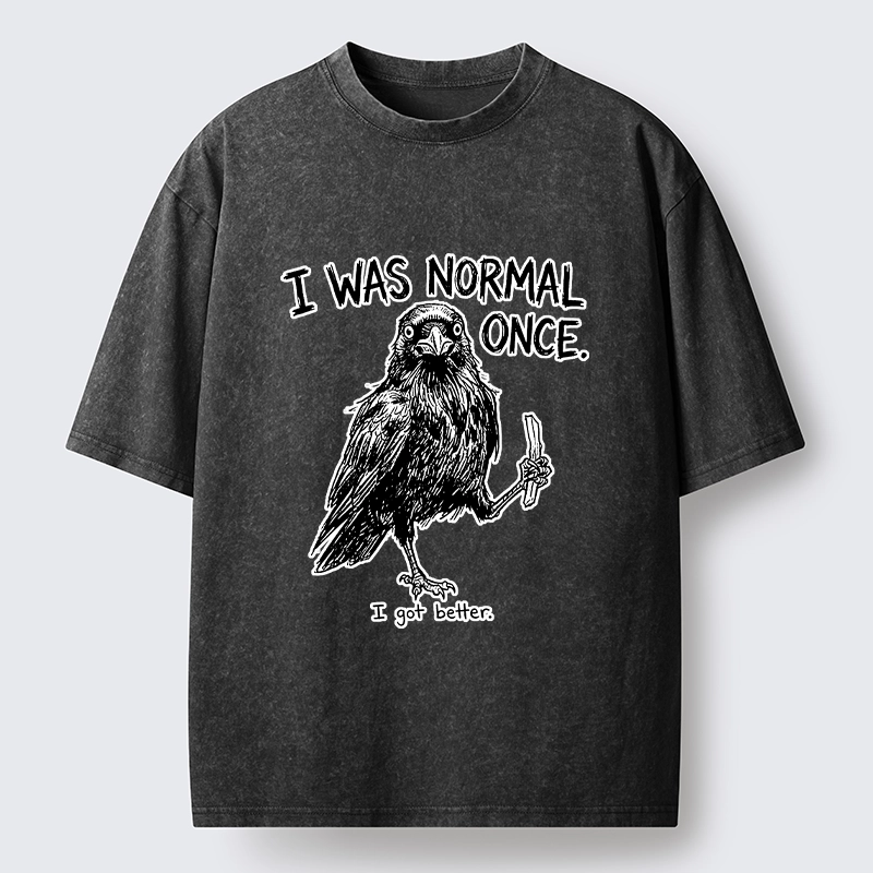 Tokyo‑Tiger Funny Crow Meme Washed T‑Shirt