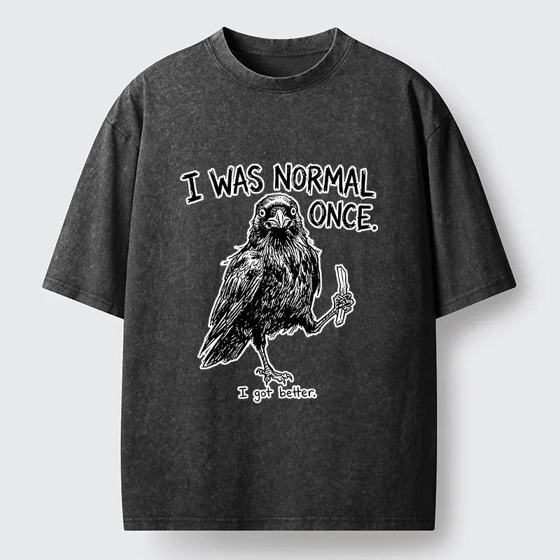 Tokyo‑Tiger Funny Crow Meme Washed T‑Shirt