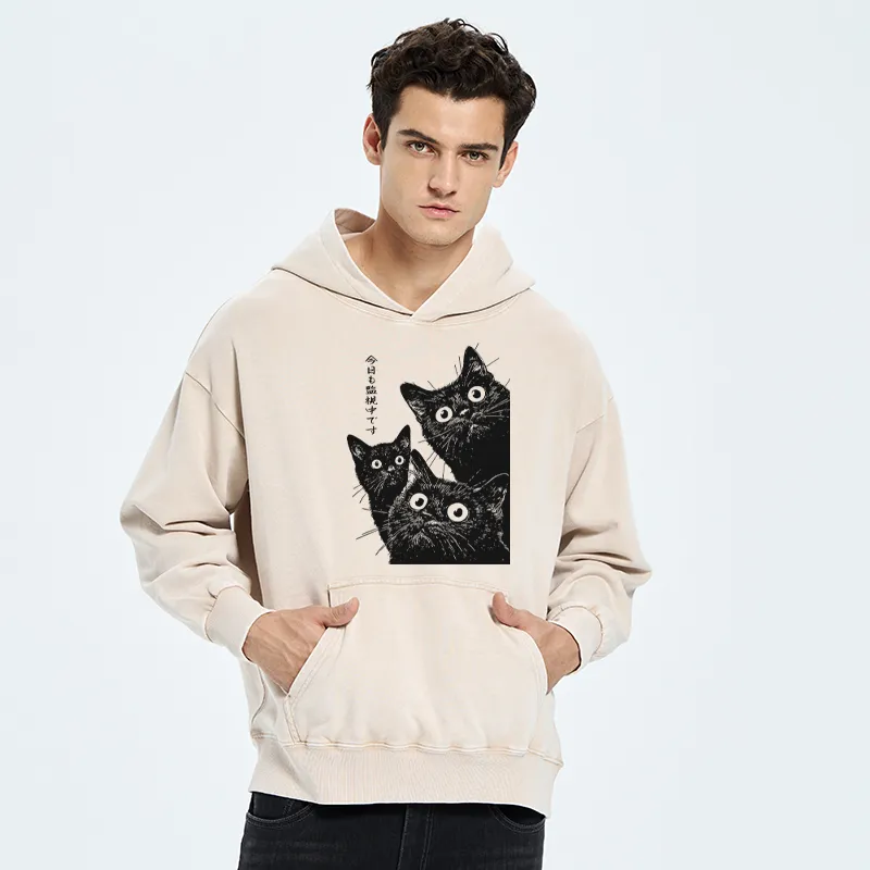 Tokyo-Tiger Three Cats Are Watching You Today Washed Hoodie