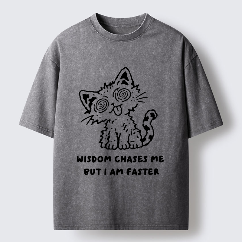Tokyo-Tiger Escape Wisdom Cat Funny Meme Washed T-Shirt