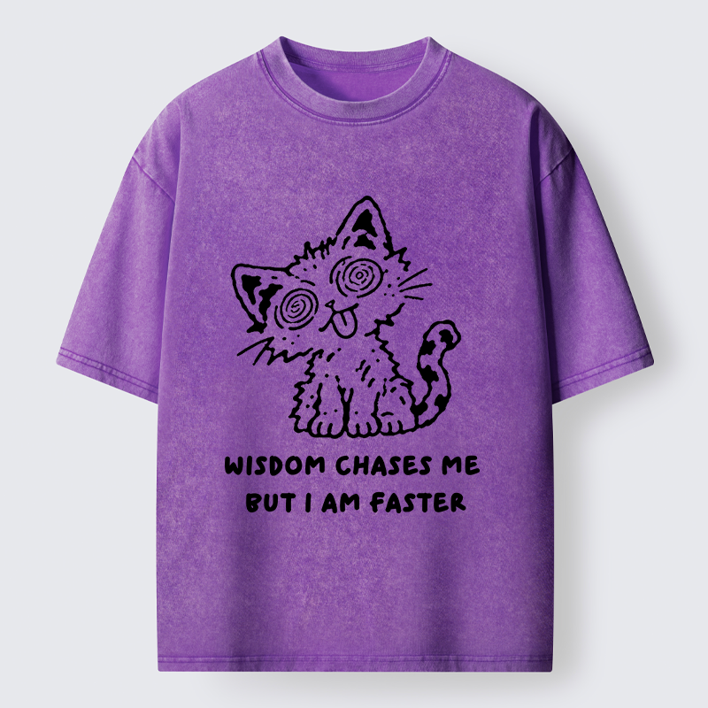 Tokyo-Tiger Escape Wisdom Cat Funny Meme Washed T-Shirt