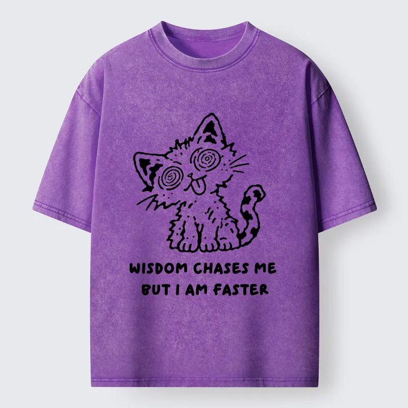Tokyo-Tiger Escape Wisdom Cat Funny Meme Washed T-Shirt