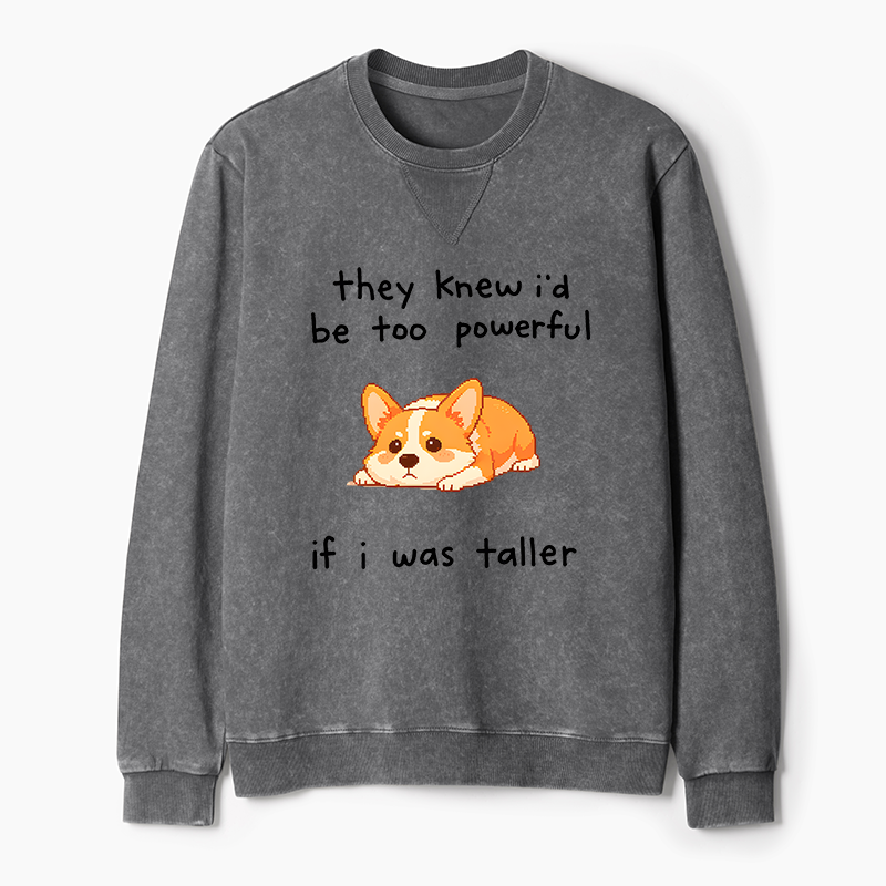 Tokyo-Tiger Funny Short Dog Joke Washed Terry Sweatshirt