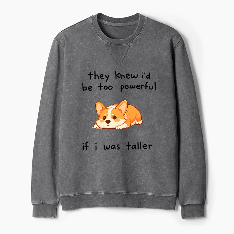 Tokyo-Tiger Funny Short Dog Joke Washed Terry Sweatshirt