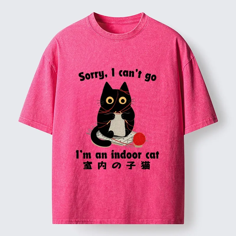 Tokyo‑Tiger Indoor Cat Meme Washed T‑Shirt